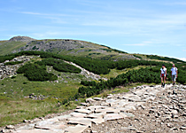 The trail leading to the peak of Babia Gora mountain near Krakow