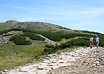 Babia Gora Mount near Krakow The trail leading to the peak of Babia Gora mountain near Krakow