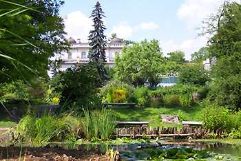 Botanical Garden in Krakow