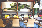 Green Day Vegetarian Bar in Krakow, Poland